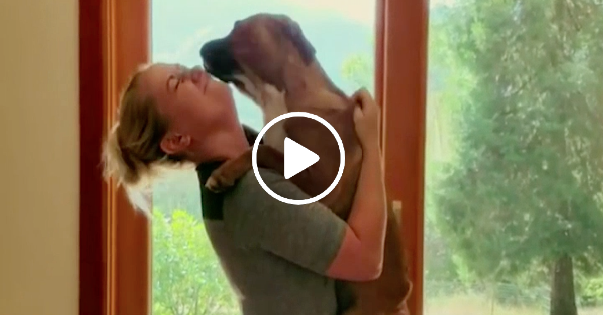 Tahle žena zachránila stovky psů, její život je opravdu netradiční