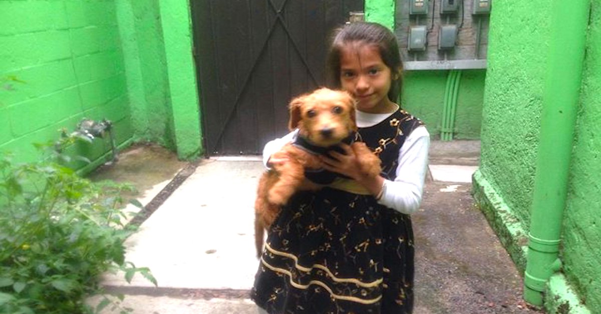 Dívka neměla žádné obrázky svého ztraceného psa, tak ho nakreslila, a zabralo to!