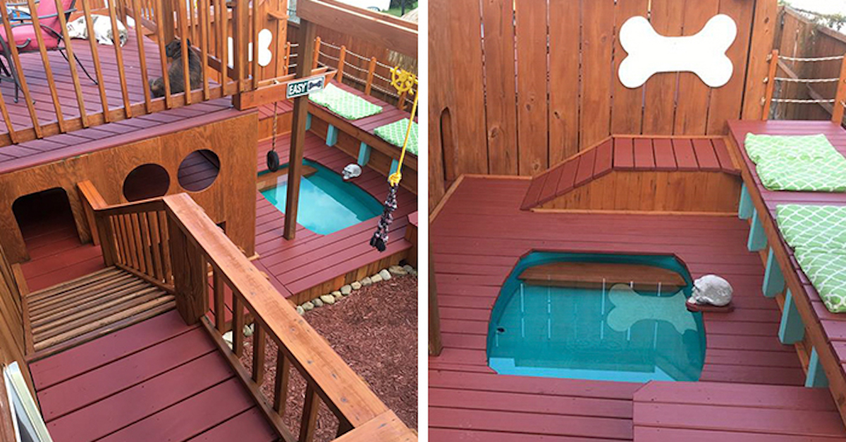 Psí nadšenec proměnil svou zahradu ve psí ráj se soukromým bazénem pro 4 psy