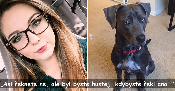 Dívka prosila svého učitele, aby mohla na výuku přijít se psem, aby nebyl během hurikánu sám doma, jeho odpověď nás „dostala“