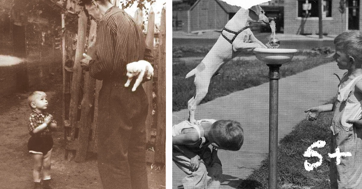 Historické obrázky, které nás dojaly k slzám