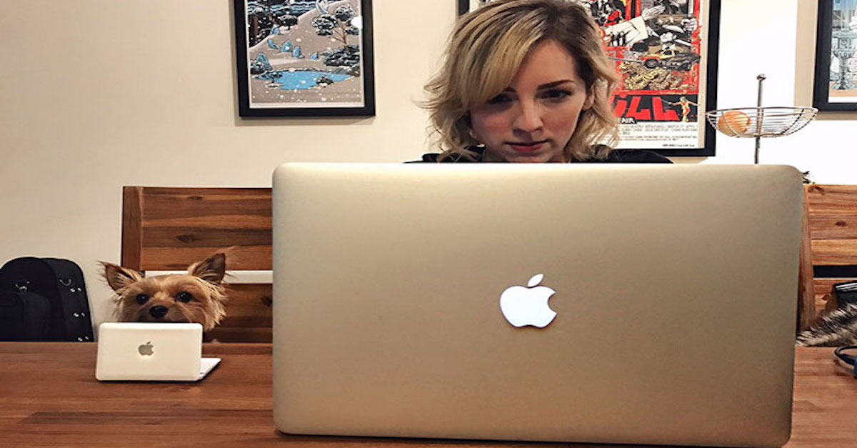 10+ psů, kteří si žijí tak, jako Vy nikdy nebudete