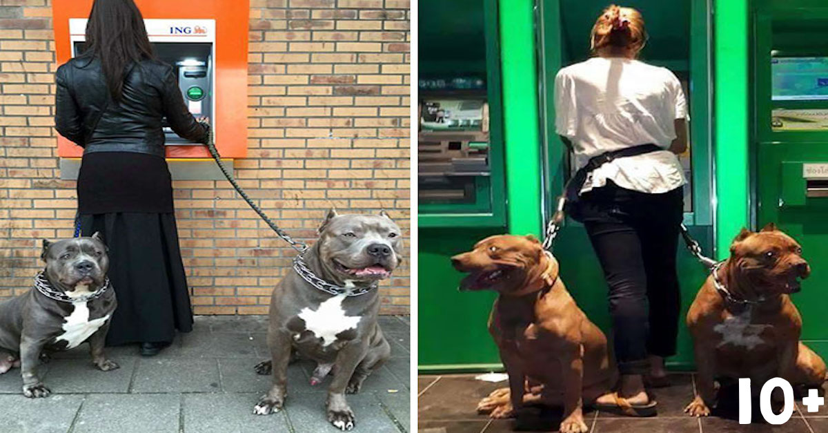 Jak vypadá nejlepší ochrana u bankomatu? (10+ obrázků)