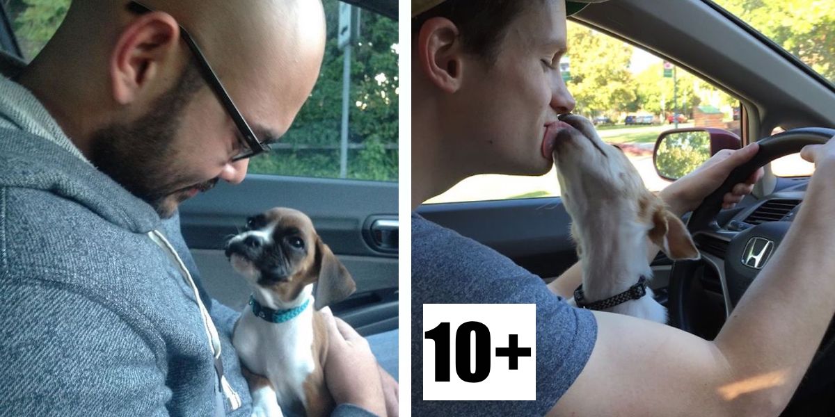 Pejskaři! Pochlubte se okamžikem, kdy jste se viděli poprvé