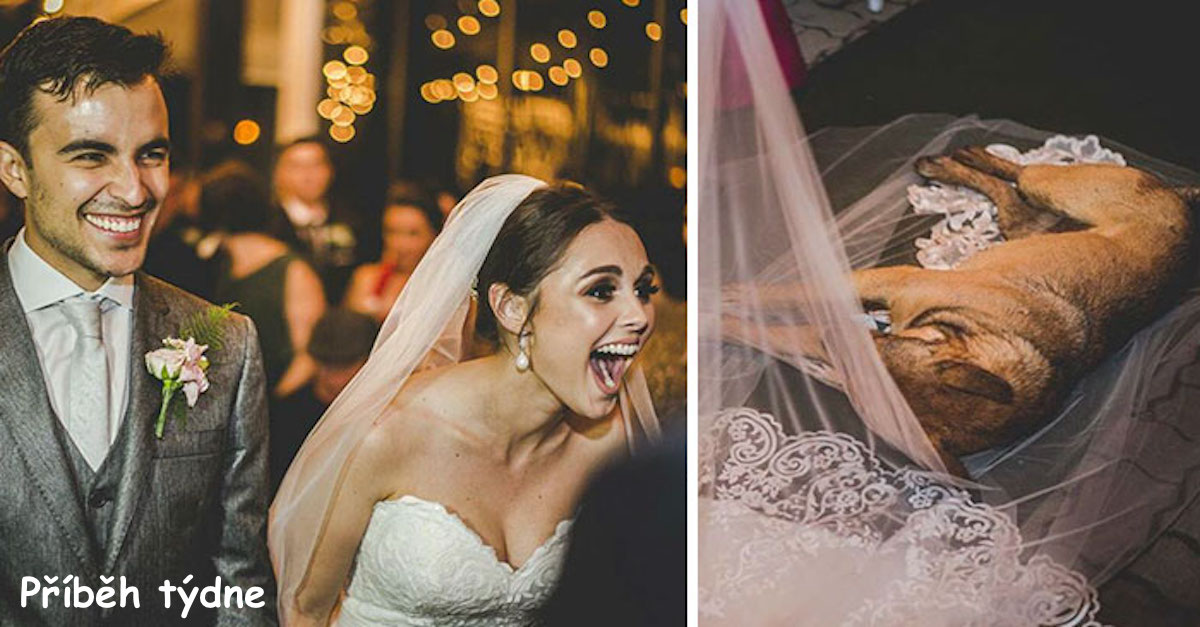 Reakce svatebního páru na psa z ulice, který narušil svatební slib, je dokonalá