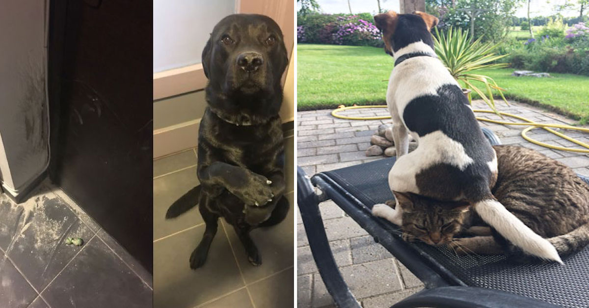 Seznam největších uličníků - Pochlubte se, jakého rošťáka máte doma vy