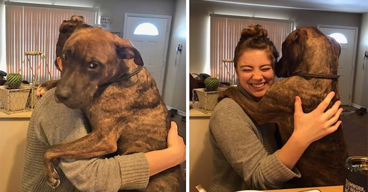 Před rokem zachránila psa, ale ten ji stále nepřestal objímat