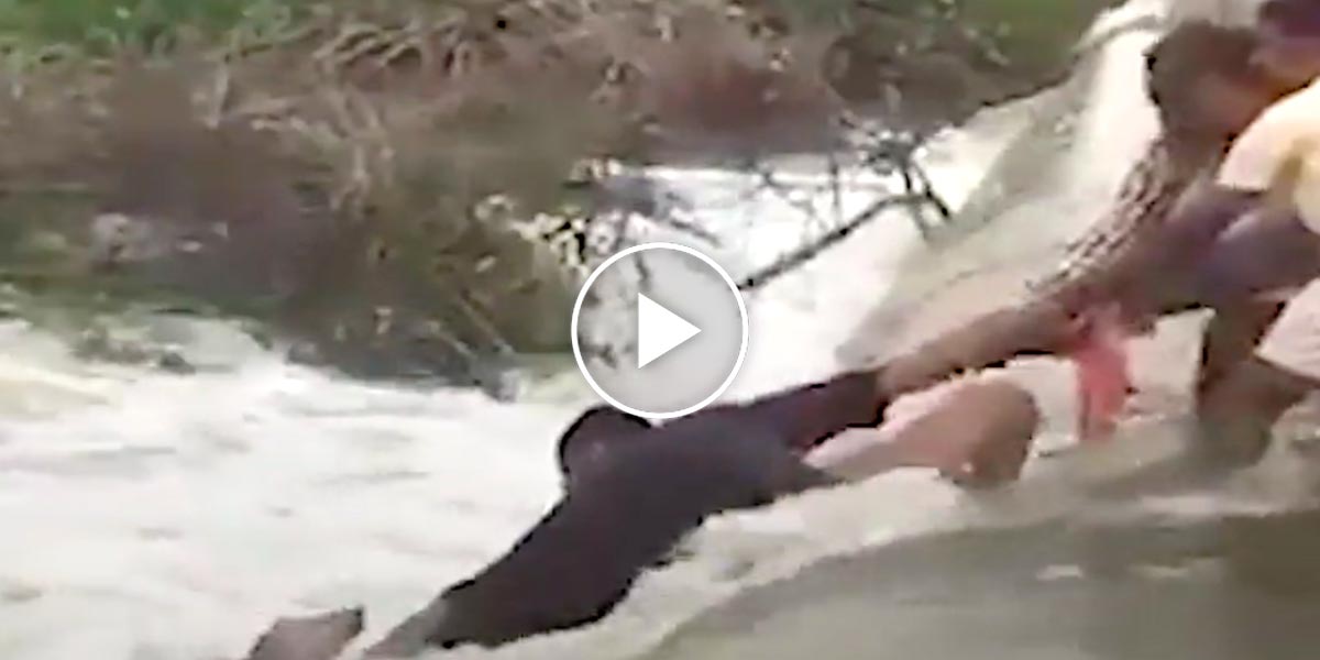 Riskovali vlastní život, aby vytáhli psa z peřejí ♡