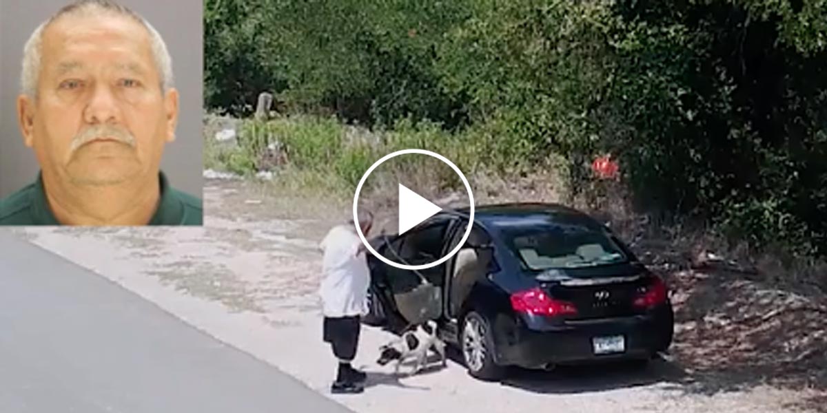 Příběh odhozeného psa u silnice má překvapivě dobrý konec