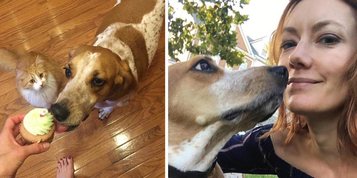 Žena zachránila vyčerpaného psa z pokusné laboratoře a ten jí nyní vrací svou vděčnost každý den