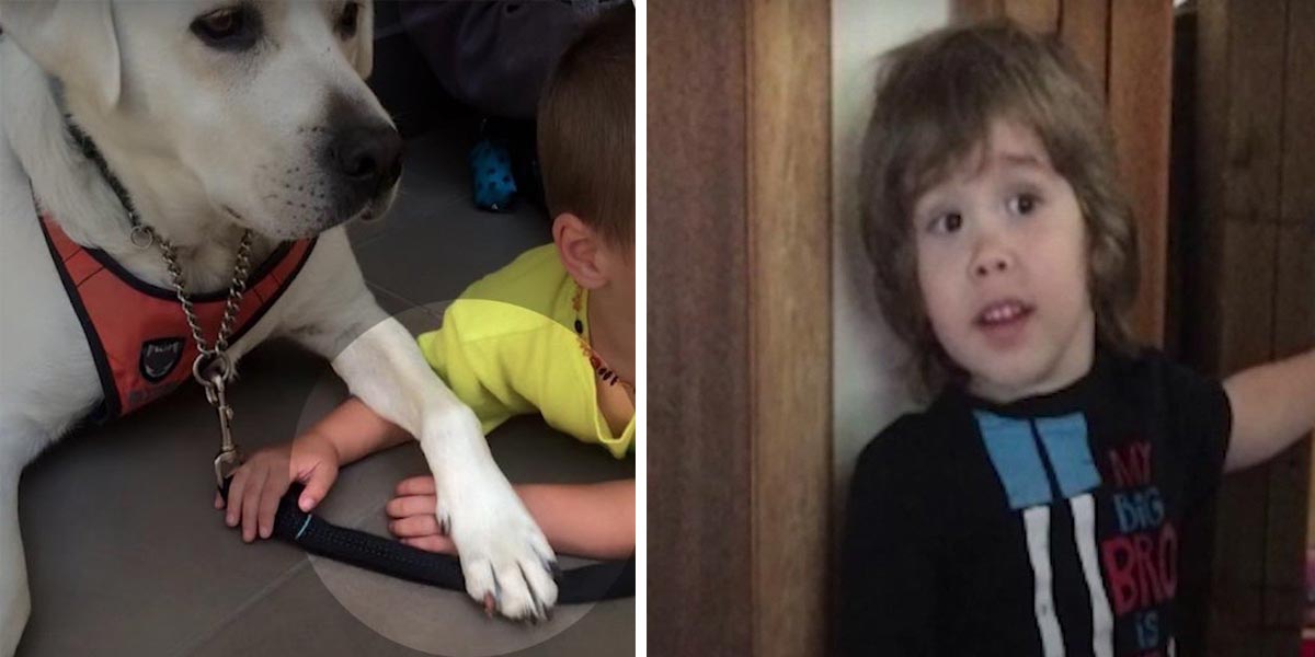 Chlapec s autismem dostal psa, který změnil celý jeho život