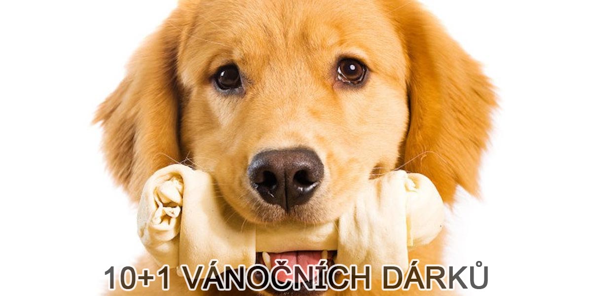 11 vánočních dárků, které ocení každý pes