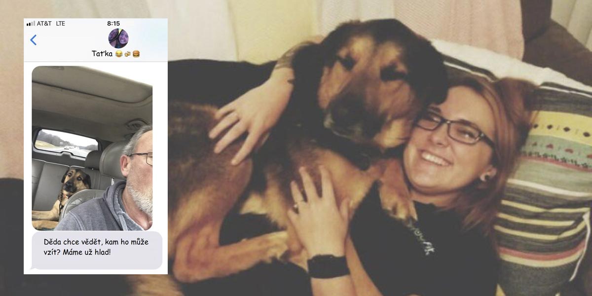 Žena nechala svého psa samotného s tátou, přijaté SMS jí udělaly obrovskou radost