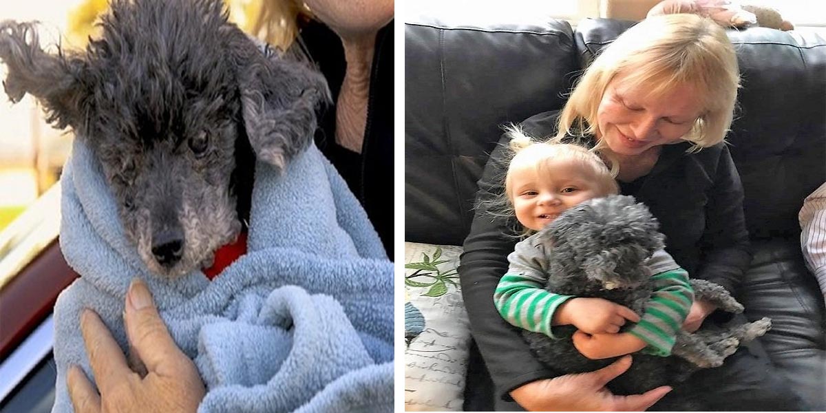 Pudl Figgy ve svých 18ti konečně našel nový domov, kde už si nikdo nemyslí, že je hloupý