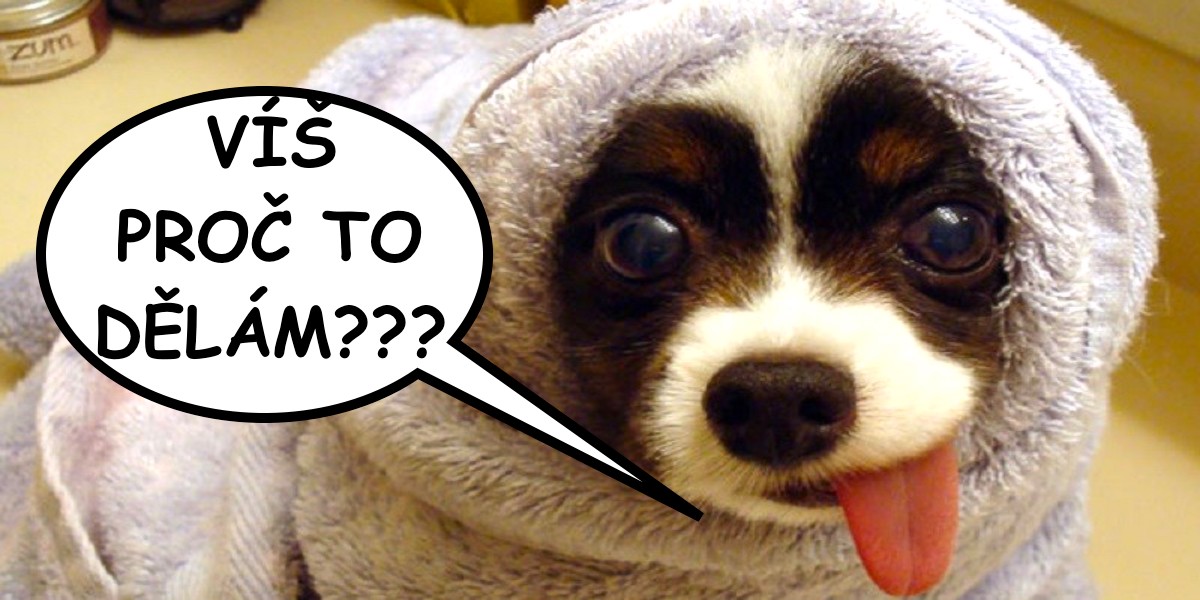 Proč mému psovi trčí jazyk z pusy?