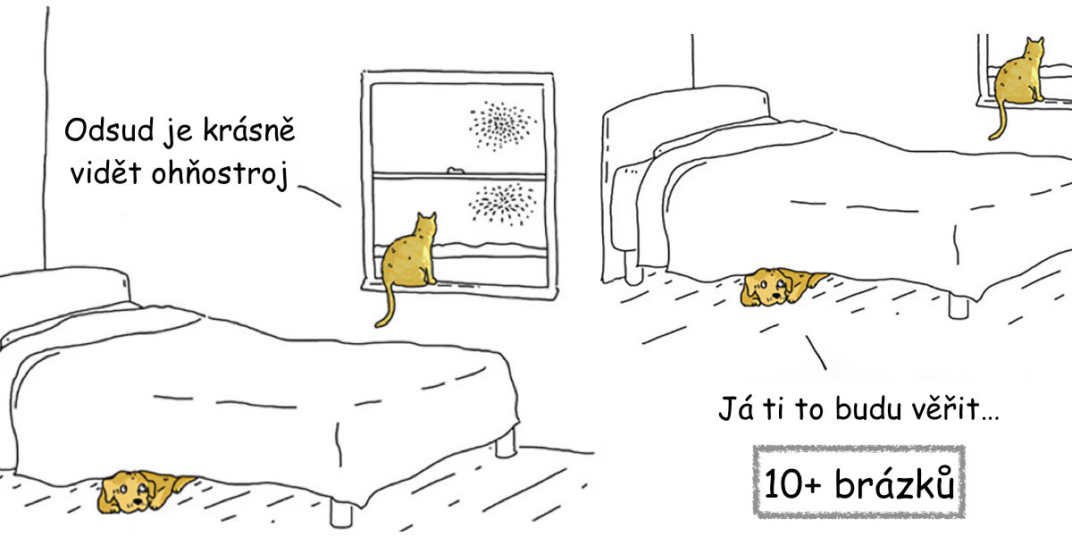 10+ rozdílů mezi psem a kočkou, které vám vytvoří úsměv na tváři