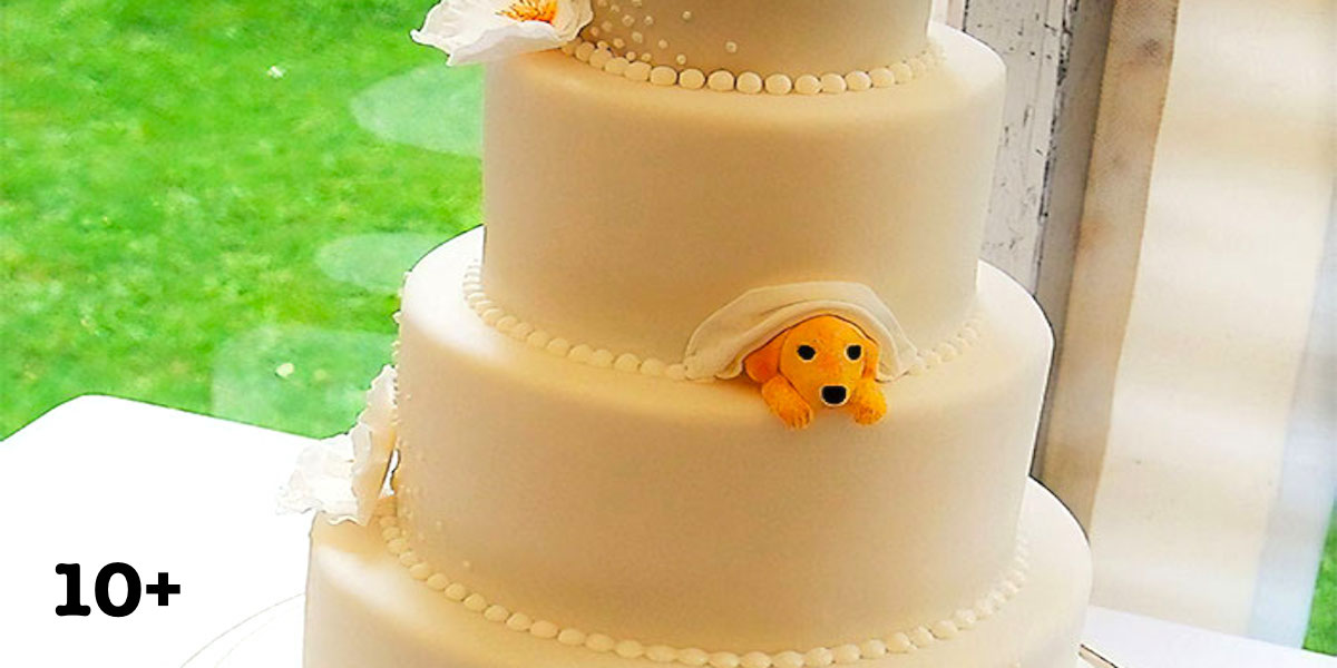 Manželské páry našly způsob, jak svého nejlepšího přítele zahrnout do svého svatebního dne, výsledky jsou psúžasné