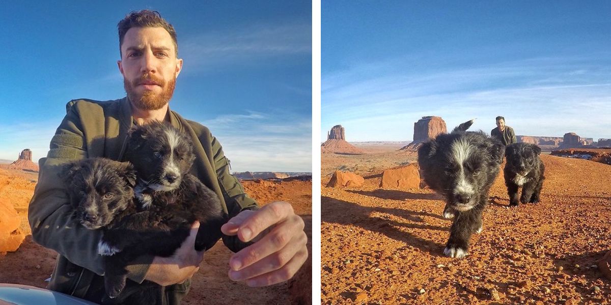 Muž během dovolené našel v poušti dvě štěňata, a tak je vzal na 40 000 km výlet