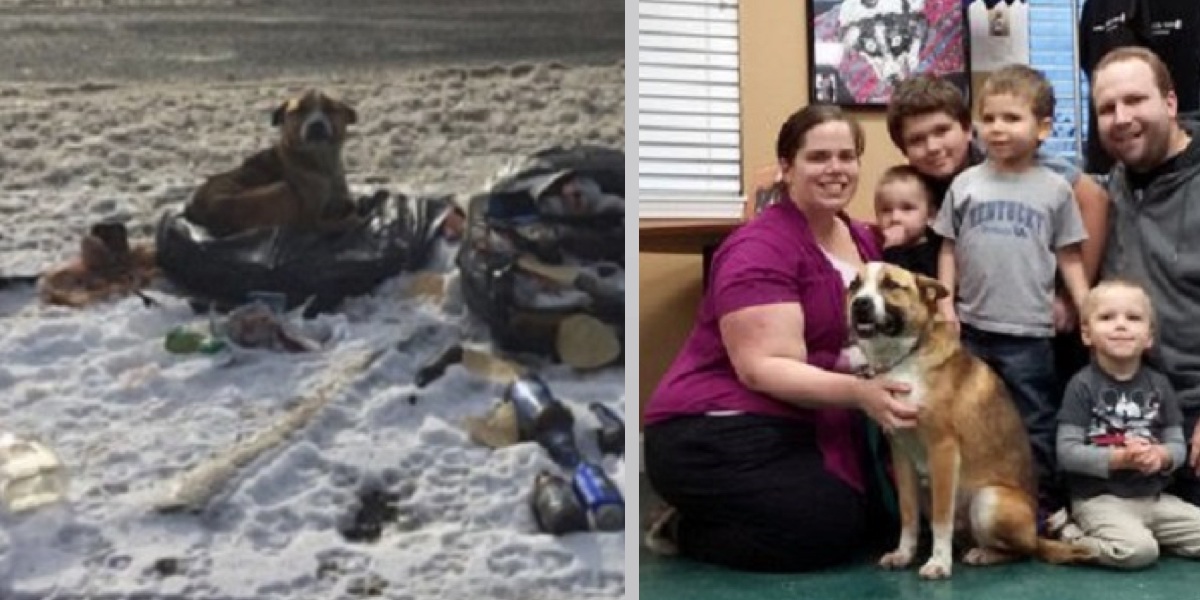 Mladý pár našel odloženého psa v hromadě odpadků, nakonec se rozhodli správně