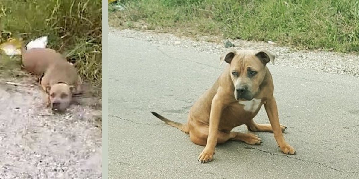 „Myslela jsem si, že je mrtvý, ale pak zvedl hlavu...“