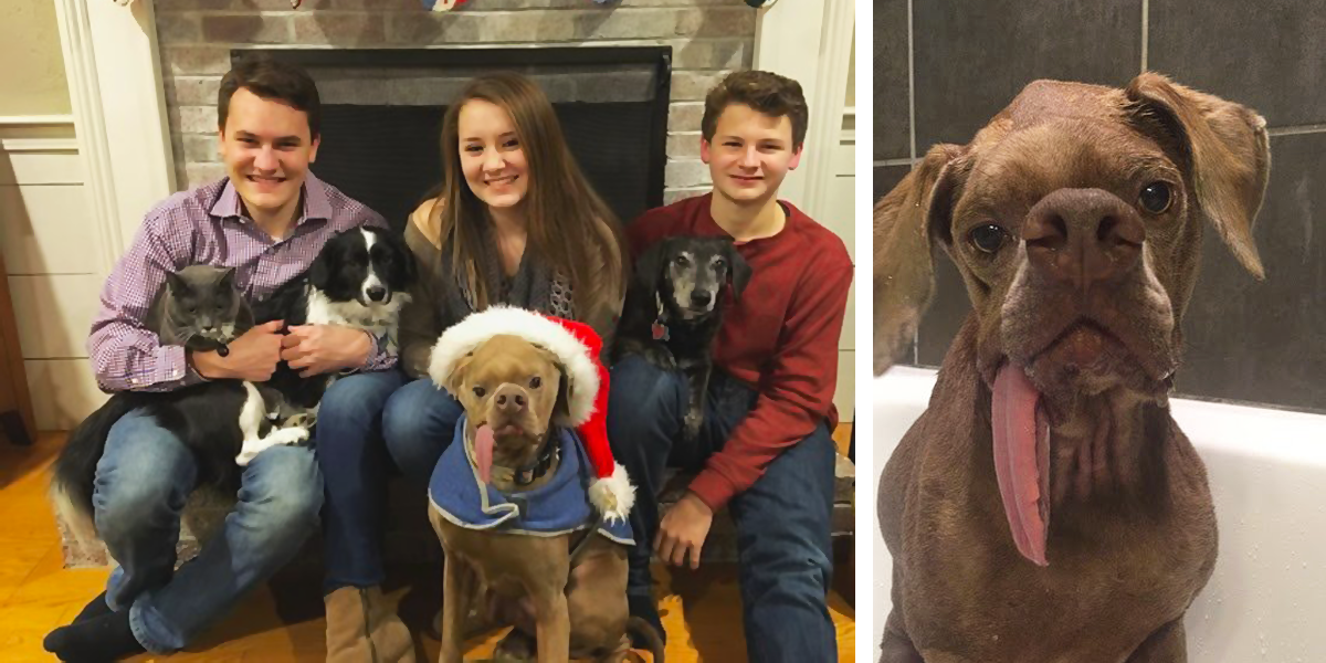 Pes s opravdu „netradičním obličejem“ našel rodinu, která ho miluje jako dokonalého