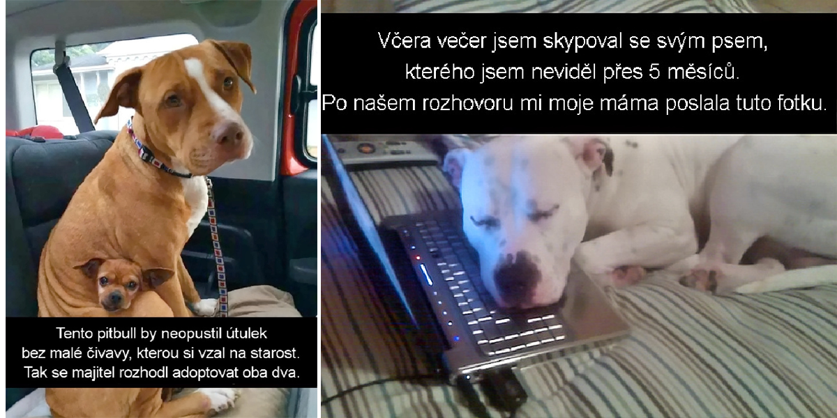 30+ úžasných obrázků, které vám vykouzlí úsměv na tváři