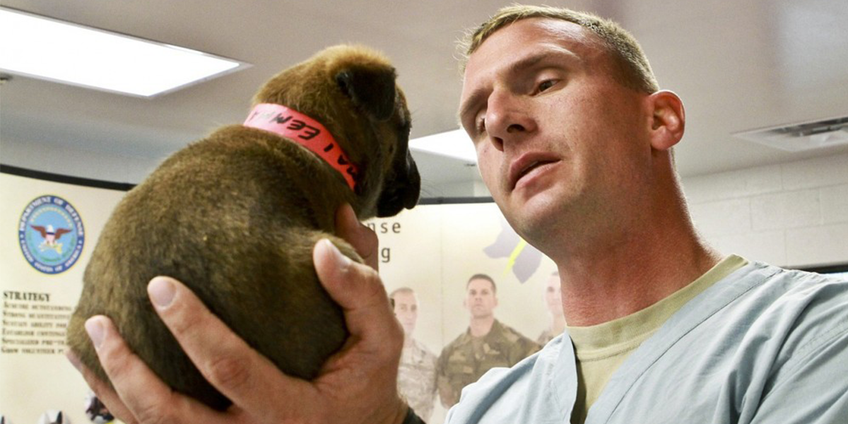 Jak si vybrat dobrého veterináře?