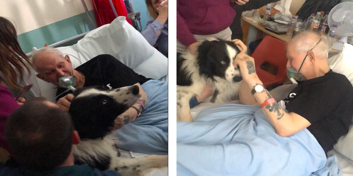 Sestřičky splnily muži poslední přání, povolily mu rozloučení s nejlepším přítelem