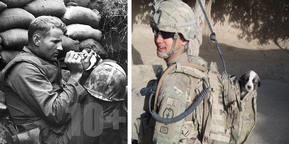 10+ vojáků, kteří si během mise našli svého nejlepšího přítele