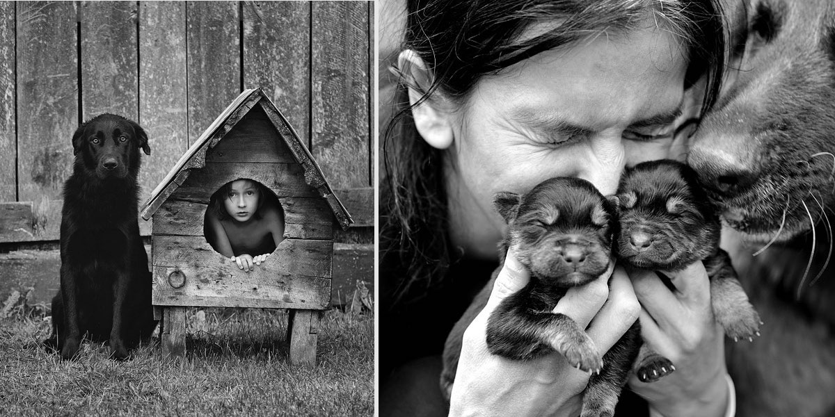 Tátovy rustikální fotografie jeho psů a rodiny