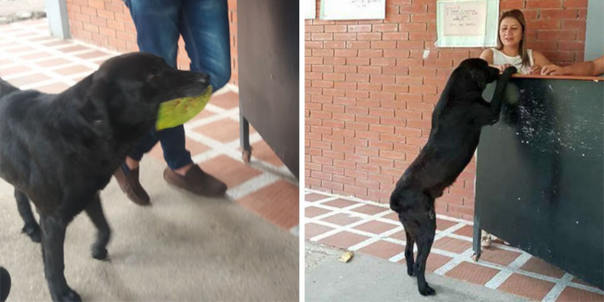 Když viděl studenty, jak si za peníze kupují jídlo, použil místo peněz list…