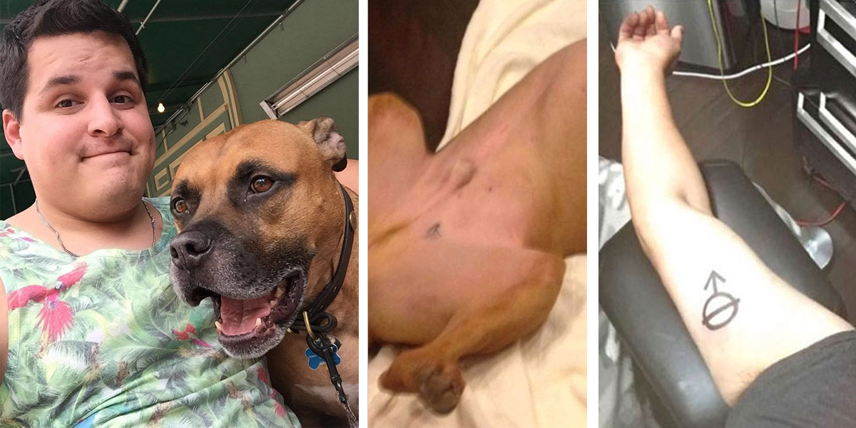 Muž si nechal vytetovat stejný motiv, jaký má jeho zachráněný pes. Nyní toho lituje, když zjistil, co symbol znamená...