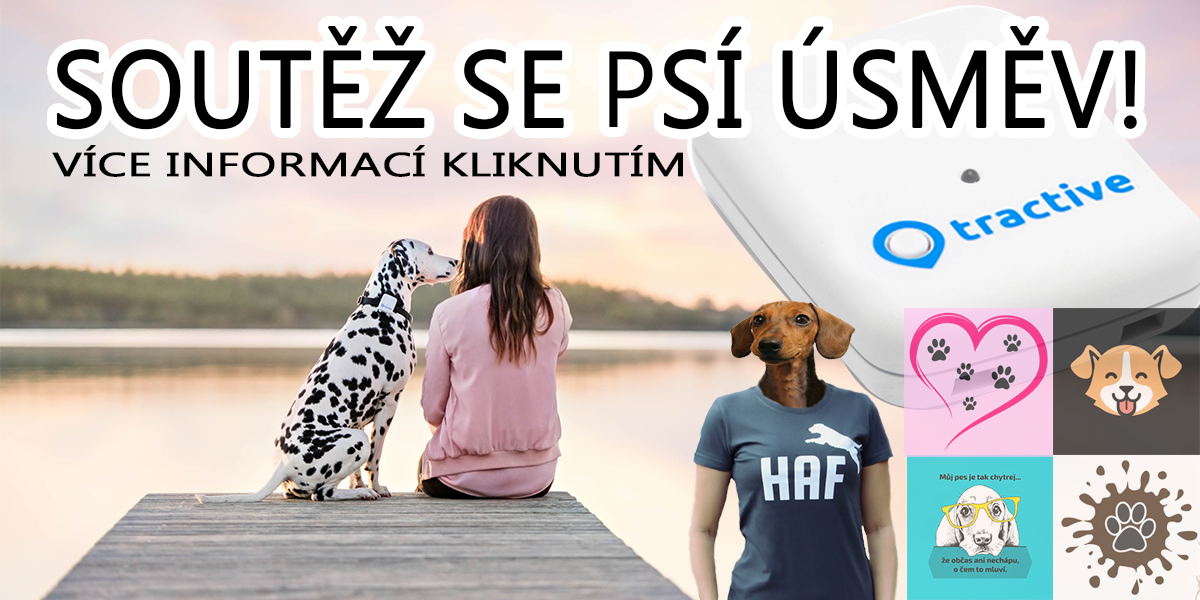 SOUTĚŽ se Psí úsměv o 8000 Kč