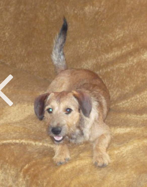 Příběh o mém Argovi