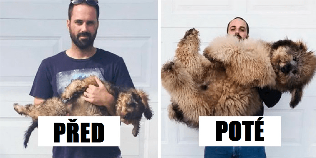 15x: Jak jsme společně vyrůstali (nové obrázky)