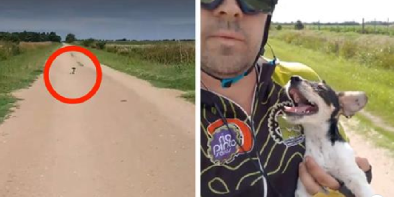 Cyklista uviděl opuštěné štěně, takhle by se měl zachovat každý…