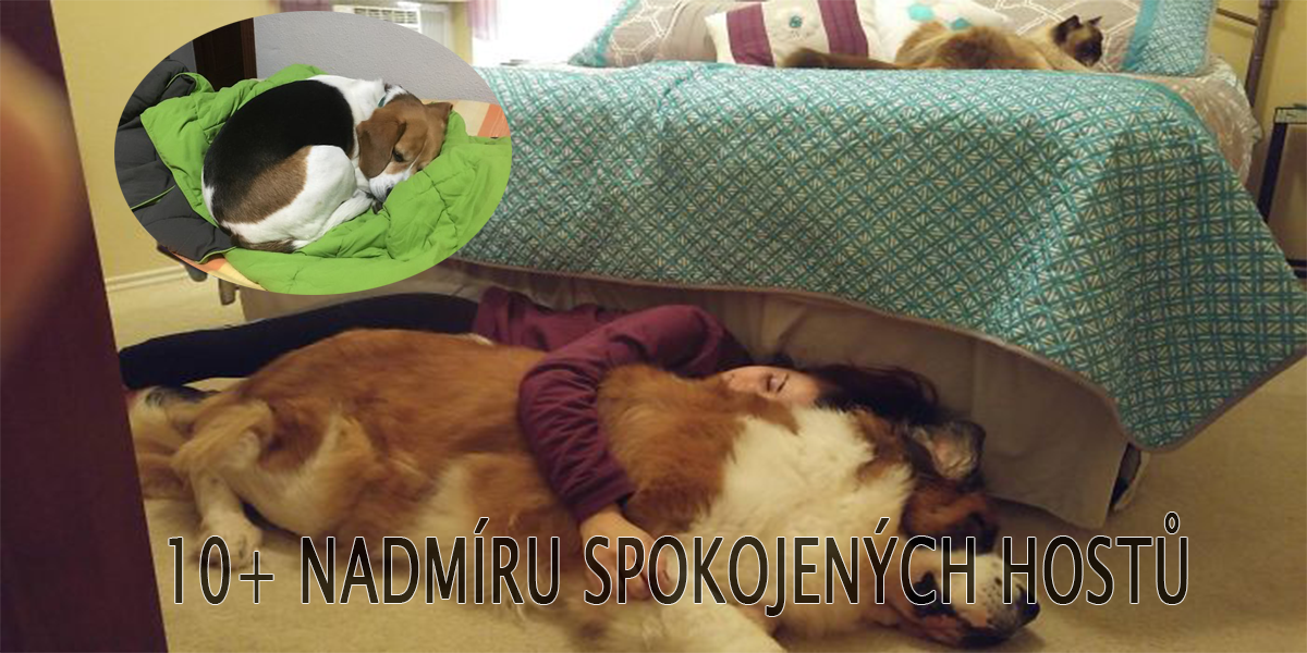 Nezvaní hosté jako zkáza Airbnb? Aneb 10+ hostů, kteří byli příjemně překvapeni...