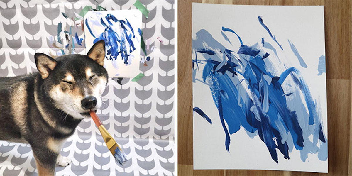 Naučili Shibu malovat, své obrazy prodala za více než 100 000 Kč