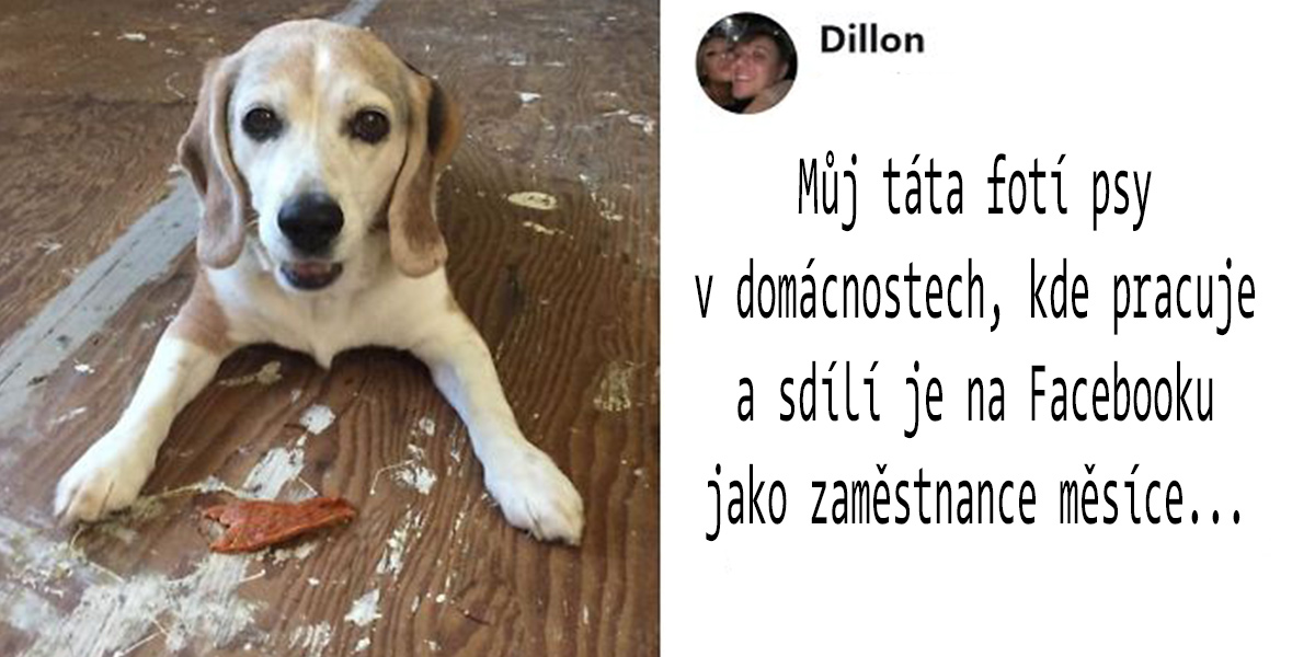 10x Psí „Nejlepší zaměstnanec měsíce“ aneb ocenění od páníčků
