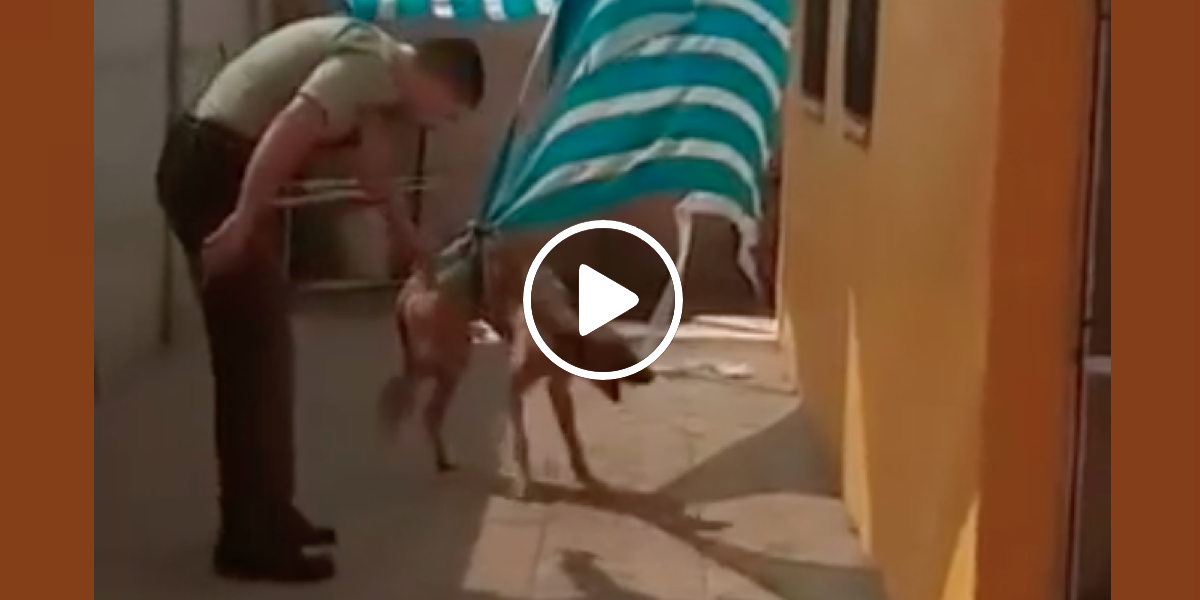 Uvězněný pes dal svému zachránci to nejkrásnější poděkování