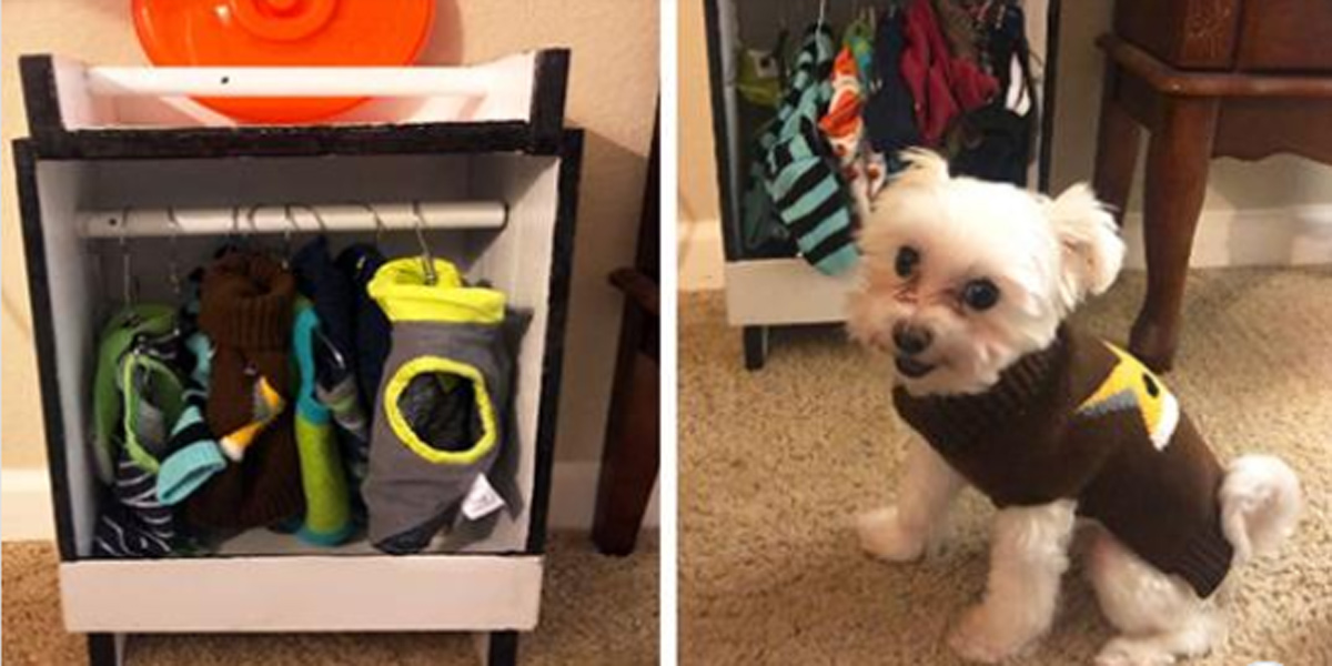 Pes si zamiloval oblečky natolik, že mu jeho děda vyrobil malý šatník