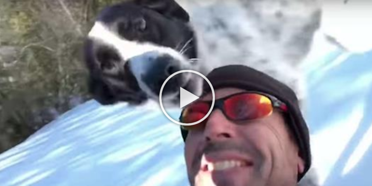 Video muže na saních se svým pes Vám zaručeně zlepší den