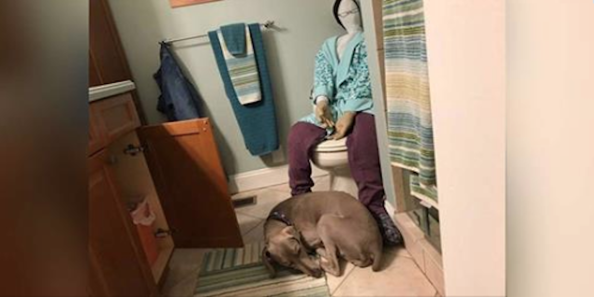 Vyrobila vlastní figurínu pro svého úzkostného psa, aby se cítil lépe. Funguje to lépe než cokoliv jiného