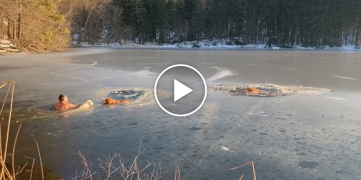 Muž se svým psem zachránili retrívry uvězněné v ledu