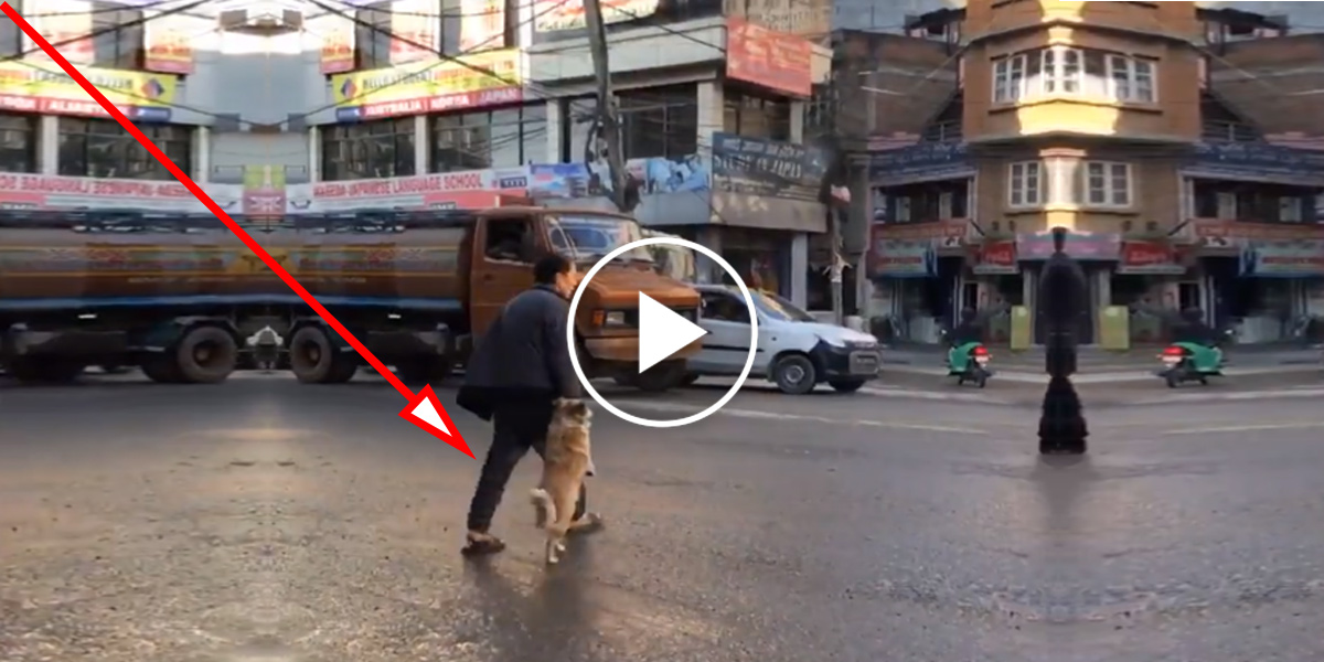 Dokonalý pes, který přes silnici chodí zásadně za ruku se svým taťkou