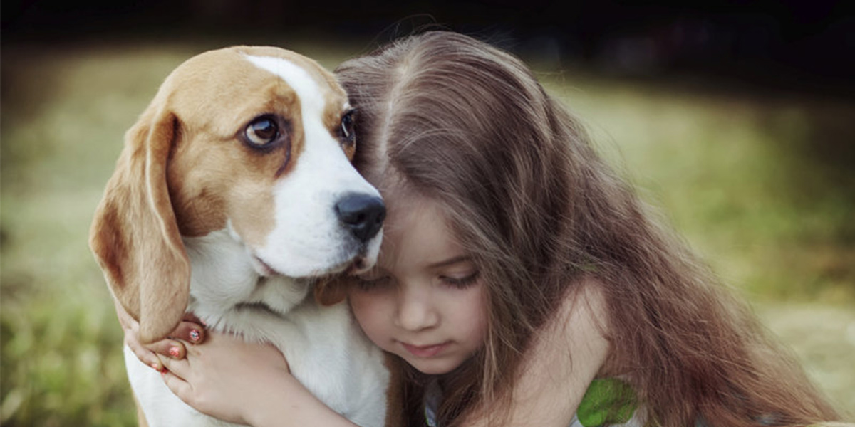 Jak si pes zvolí svého oblíbence číslo jedna?