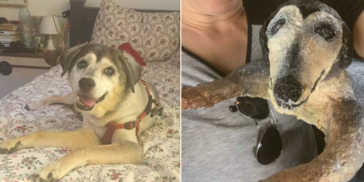 Máma začala chodit na školu umění a rozhodla se, že udělá sochu svého psa…