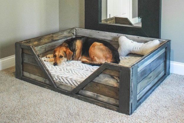 Jak vyrobit pelíšek pro psa svépomocí