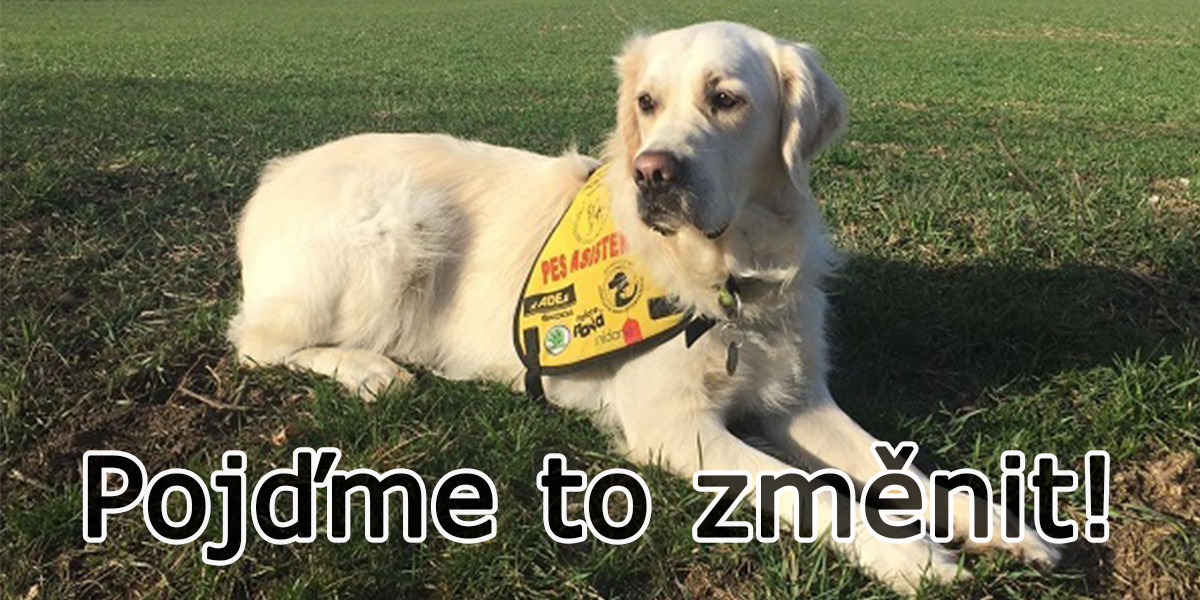 Asistenční psi nemají právo vstoupit do škol. Pojďme to změnit!