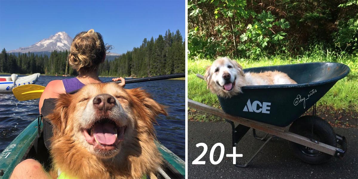 20+ Úžasných obrázků seniorů, pašáků